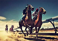 公司理念(圖6) 比競爭對手略勝一籌